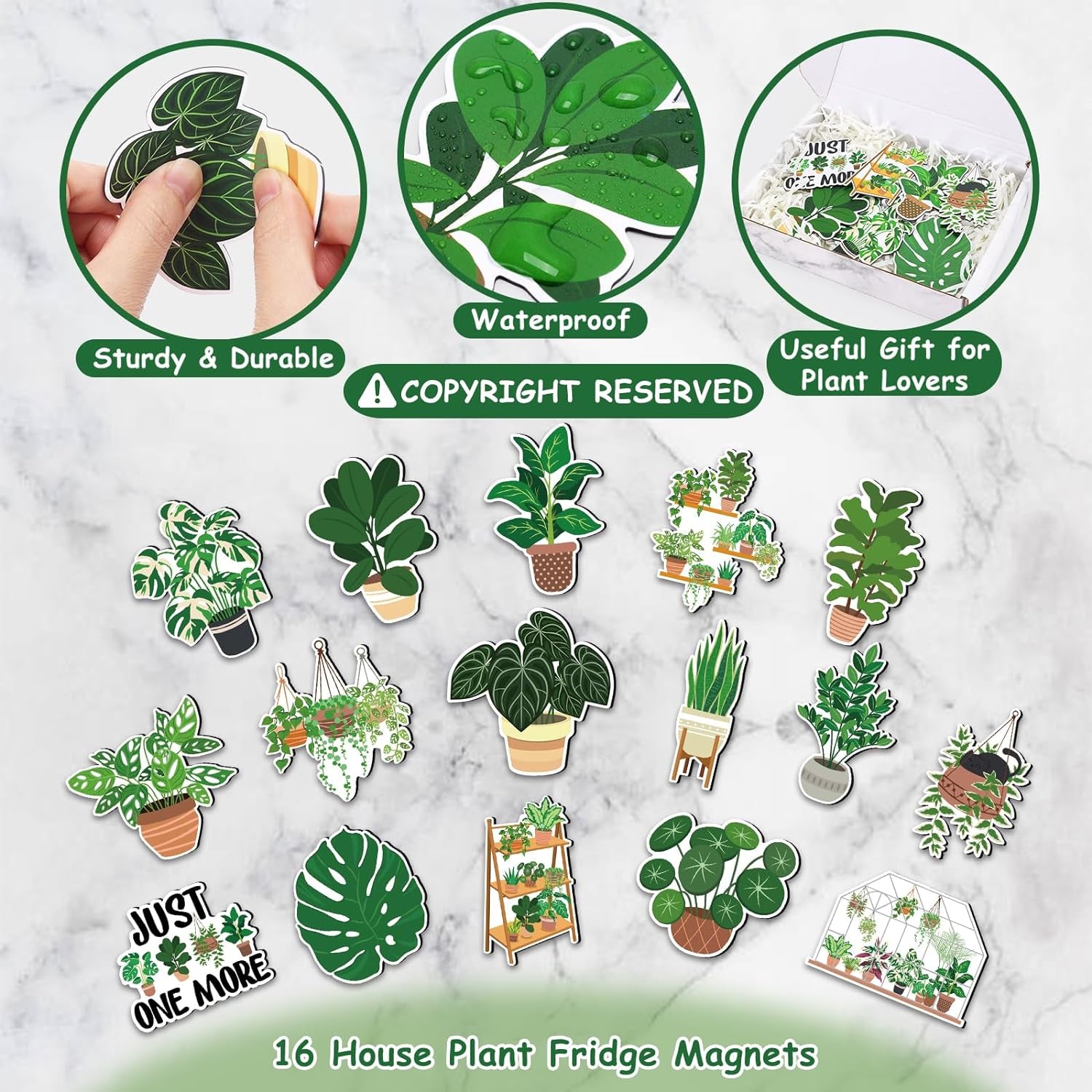 Botanical Bliss:  Playful Plant Magnets