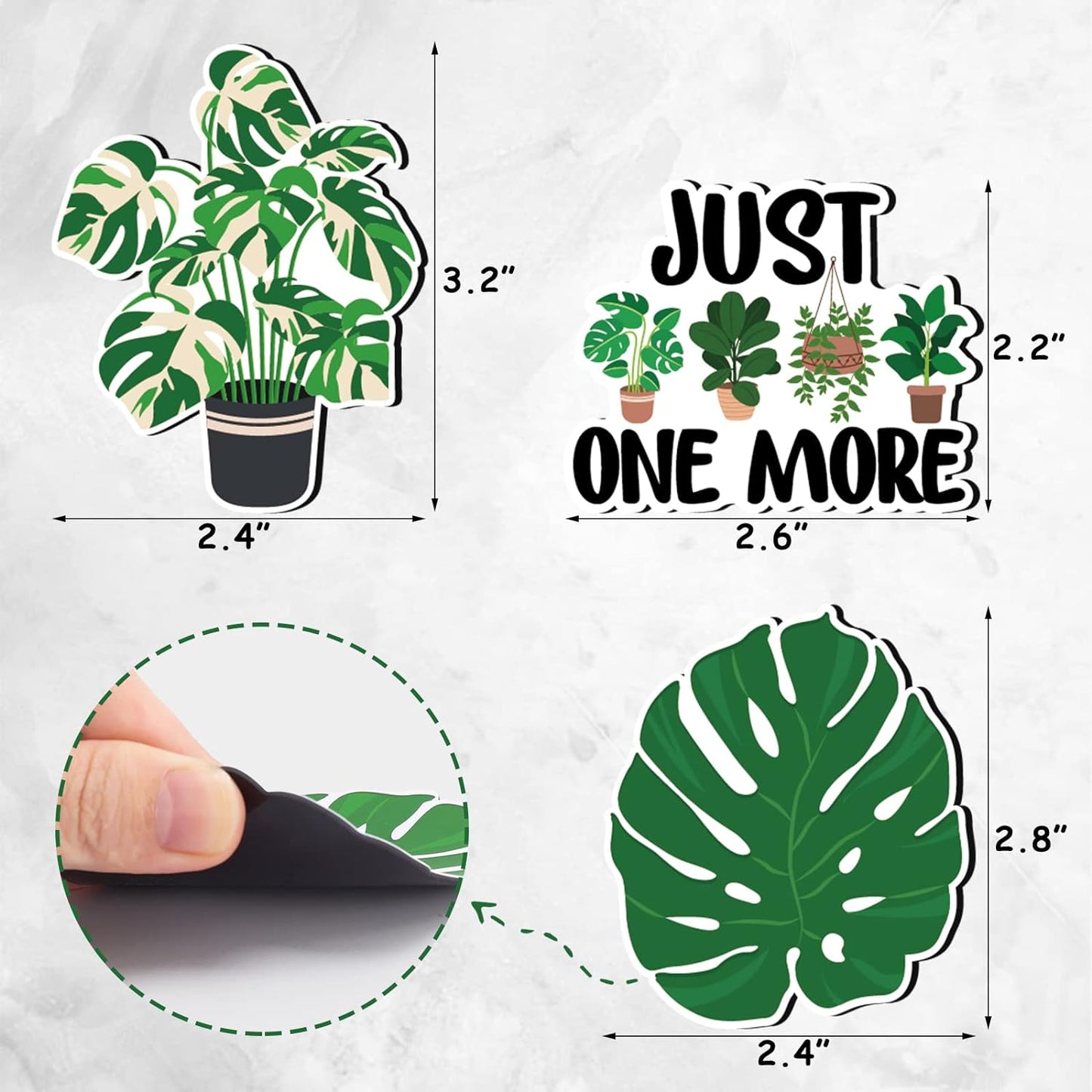 Botanical Bliss:  Playful Plant Magnets