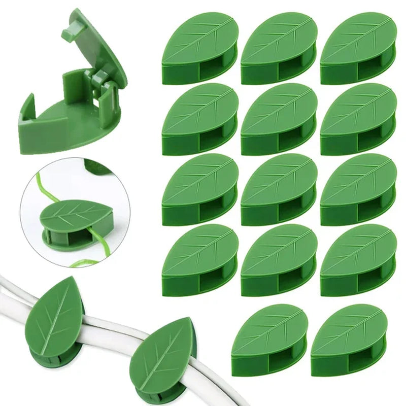 Plant Climbing Wall Fixture Clips: The Ultimate Solution for Your Vertical Garden Adventure!