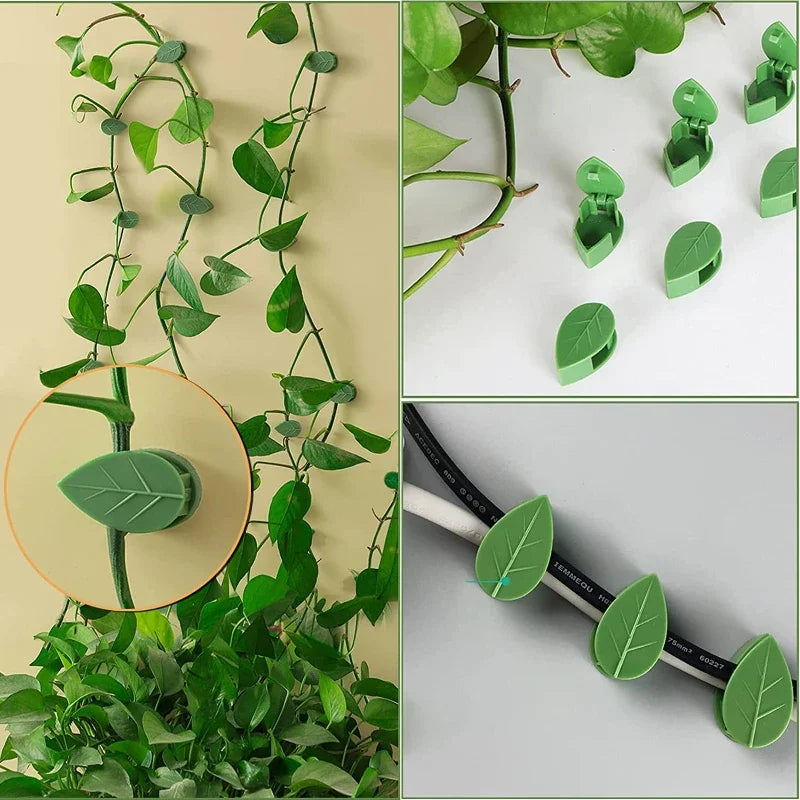 Plant Climbing Wall Fixture Clips: The Ultimate Solution for Your Vertical Garden Adventure!