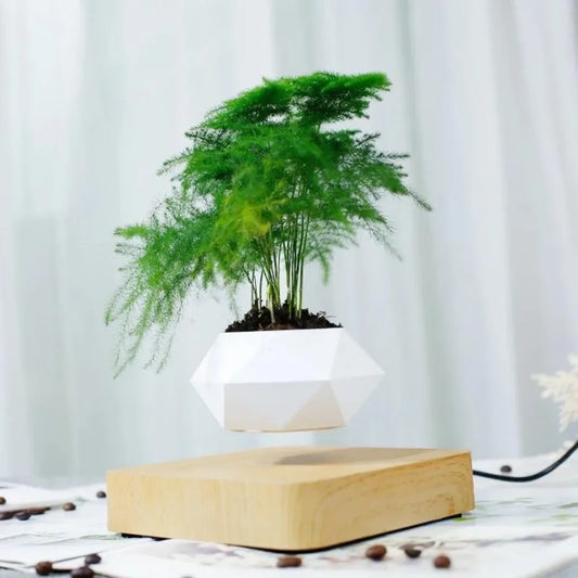 Levitating Air Bonsai Pot: Bring Magic Inside!