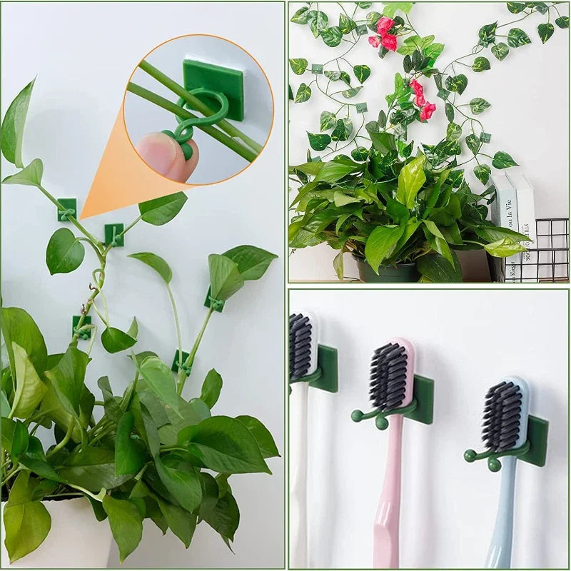 Plant Climbing Wall Fixture Clips: The Ultimate Solution for Your Vertical Garden Adventure!