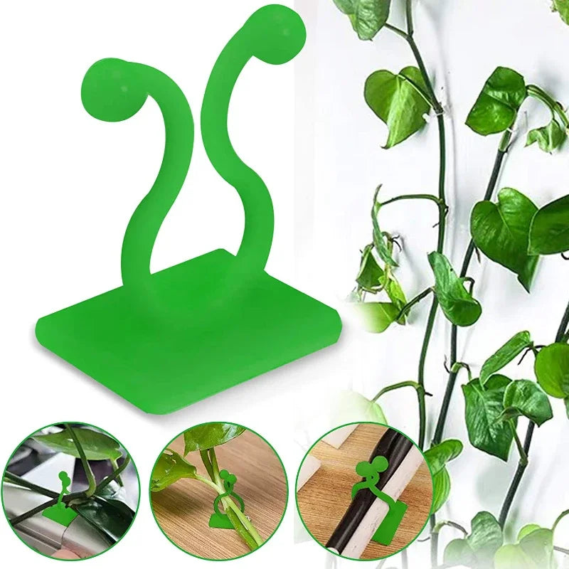 Plant Climbing Wall Fixture Clips: The Ultimate Solution for Your Vertical Garden Adventure!