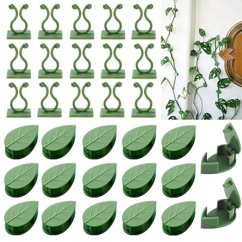 Plant Climbing Wall Fixture Clips: The Ultimate Solution for Your Vertical Garden Adventure!